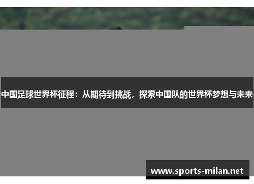 中国足球世界杯征程：从期待到挑战，探索中国队的世界杯梦想与未来