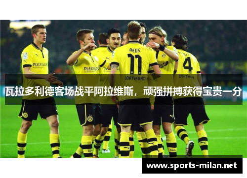 瓦拉多利德客场战平阿拉维斯，顽强拼搏获得宝贵一分